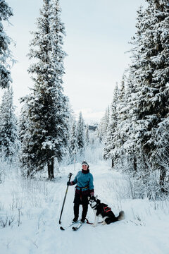 Cross-Country Skiing with Alaskan Malamute in Snowy Forest
