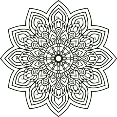 Beautiful flower art and mandala vector design