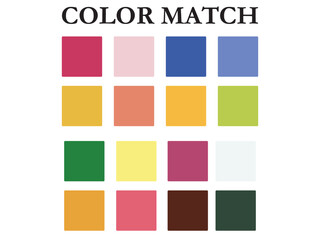 Color match