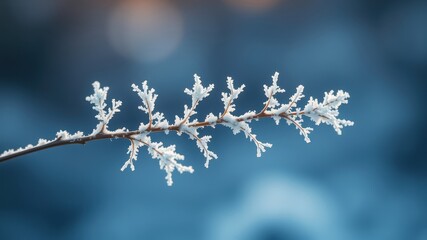 Obraz premium A delicate branch adorned with winter's icy embrace, showcasing nature's serene beauty in frosty detail.