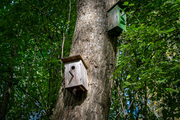 a bird nesting box hanging on a tree