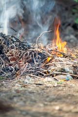 Close-up of a small outdoor fire burning dry twigs and branches, producing flames and smoke, symbolizing survival, warmth, and natural elements.