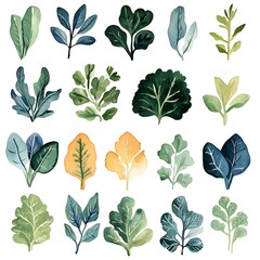 Collection of 20 Watercolor Botanical Illustrations of Various Green and Yellow Leaves.