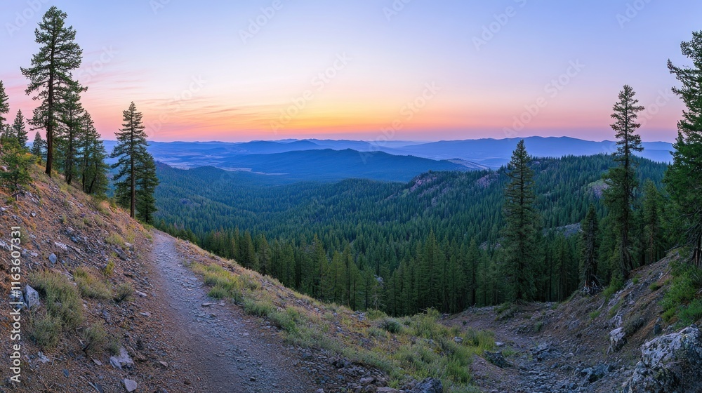 Poster panoramic sunset view of a mountain trail winding through a coniferous forest, overlooking vast vall