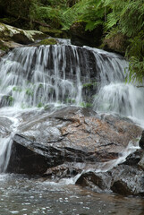 cascade, riviere, forêt primaire tropicale, Parc National Andasibé Mantadia, Madagascar
