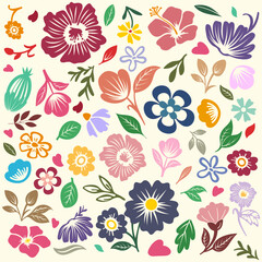 Collection of various colorful flowers