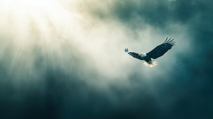 Obraz premium Eagle in Flight Over Canyon, a majestic eagle gliding gracefully above a vast canyon, illuminated by striking dramatic light