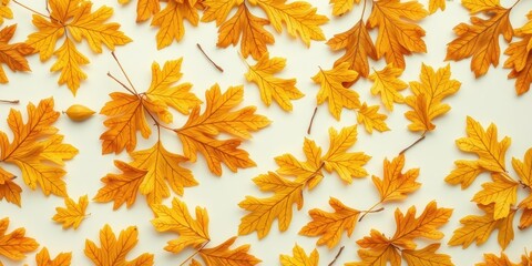 Golden Autumn Leaves Pattern A Flat Lay of Vibrant Yellow Foliage on a White Background