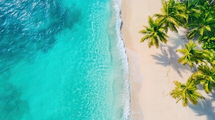 Tropical Serenity, tranquil beach with swaying palm trees, clear turquoise waves lapping gently against the shore