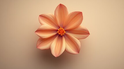 Naklejka premium Minimalist flower on taupe background with gentle natural light