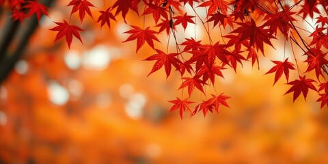 Vibrant Red Maple Leaves Hanging Against a Blurred Autumn Background