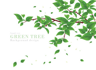 新緑の木の枝から青葉が舞う背景のリアルイラスト｜春夏の景色