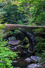 숲속 다리를 보다