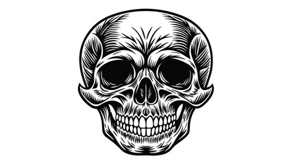Skull in vintage stule