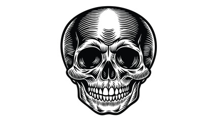 Skull in vintage stule