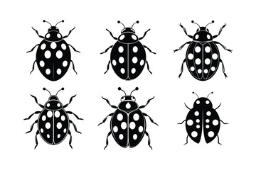 Ladybug (Coccinellidae) silhouette design, labeled linocut vector illustration. © Helal