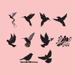 Silhouettes of different bird species that showcase their unique shapes and movements