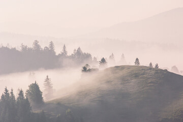 summer nature scenery, scenic sunset view in the mountains, Carpathian mountains, Ukraine, Europe	