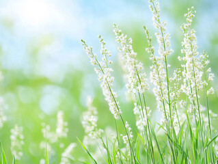 blurred nature background