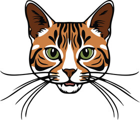 Bengal cat vector illustration white background
