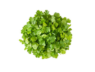 Obraz premium Aerial View of Cilantro Bunch Isolated On A White Background, PNG Transparent