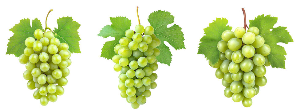 High-Quality PNG green grapes with leaves isolated on white background