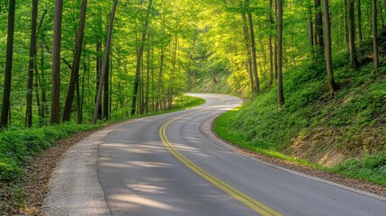 Fototapeta premium Serene Winding Road Through Lush Green Forest