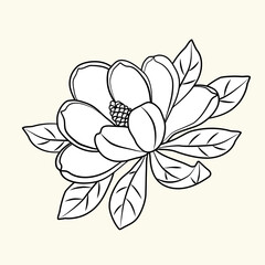 Magnolia flower. Vector linear drawing. A hand-drawn magnolia flower isolated on a white background. Illustration for postcards, posters, flyers, website design and other projects.