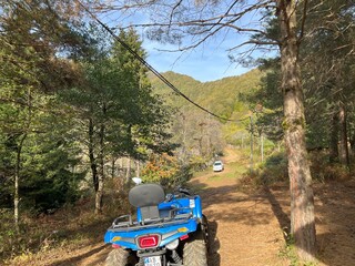 Truck in the forest, Georgia © Rubin