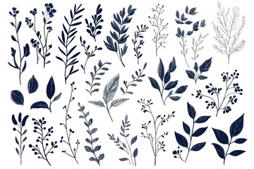 Fototapeta premium Elegant navy blue botanical illustration set on white background