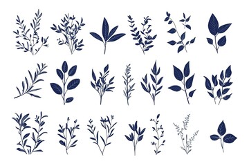 Elegant Navy Blue Botanical Illustration Set