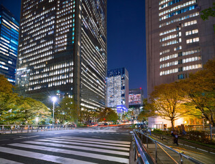 Fototapeta premium 都会の夜景