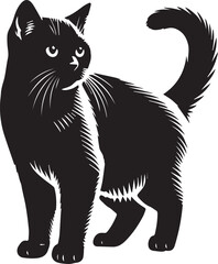 Obraz premium Black cat