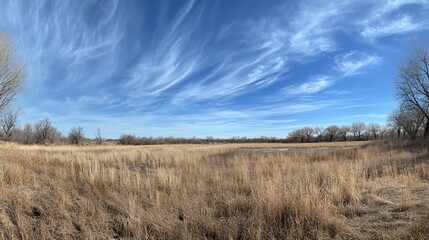 Serene Winter Prairie Landscape Under a Vast Blue Sky