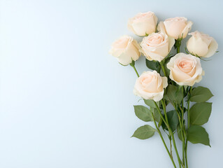 Fototapeta premium Pink roses background