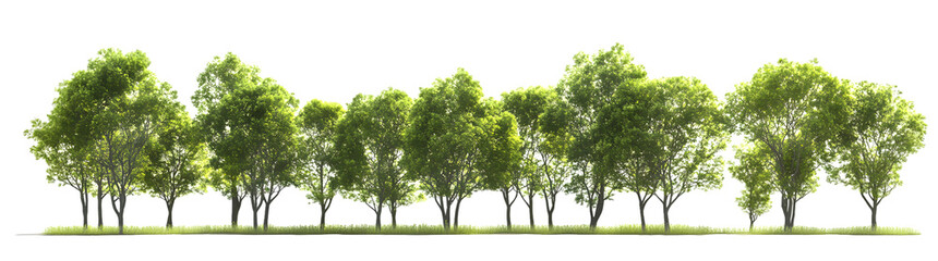 Obraz premium Lush Green Trees in a Row - Ideal for Nature and Landscape Themes