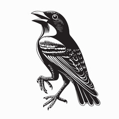 Obraz premium Bowerbird Image Vector. Black and white Bowerbird Stock Illustration on white background.