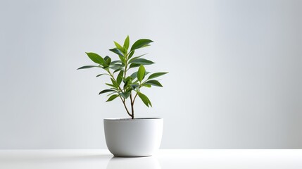 Eco-Friendly Design Concept with Potted Plant in Recycled Container on White Surface