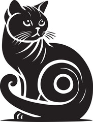 Black and white cat