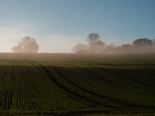 Obraz premium Farmland in foggy misty landscape