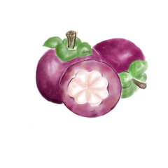 Fruit Mangosteen 