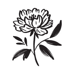 Minimalist hand drawn peony in bold black brush strokes on white