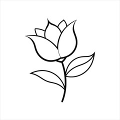 Nature Inspired Flower and Leaves Vector Art