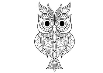 owl on white background