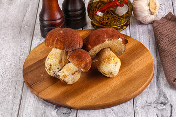 Raw natural wild porchini mushrooms