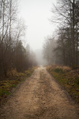 droga gruntowa,mgła  © Marcin Łazarczyk