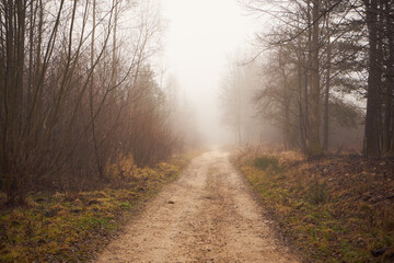 droga gruntowa,mgła  © Marcin Łazarczyk
