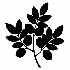 Barberry Branch Silhouette - Elegant Vector Design