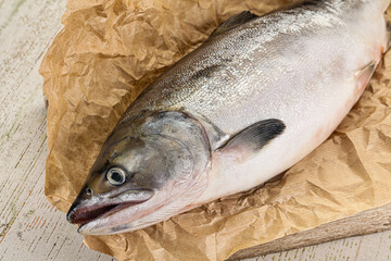 Raw wild whole salmon fish
