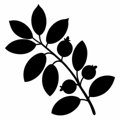 Barberry Plant in Silhouette - Simple Vector Art